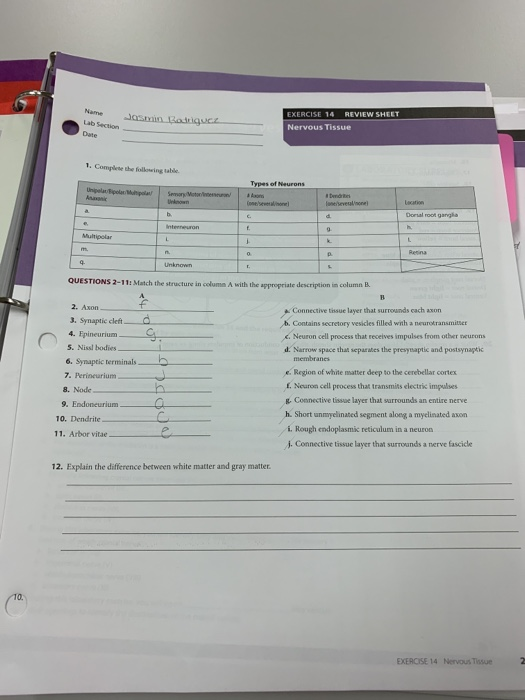 Solved Name EXERCISE 14 REVIEW SHEET Lab Section Join
