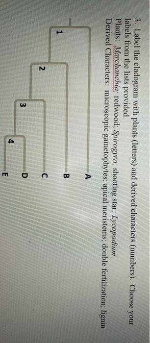 Biology Recent Questions | Chegg.com