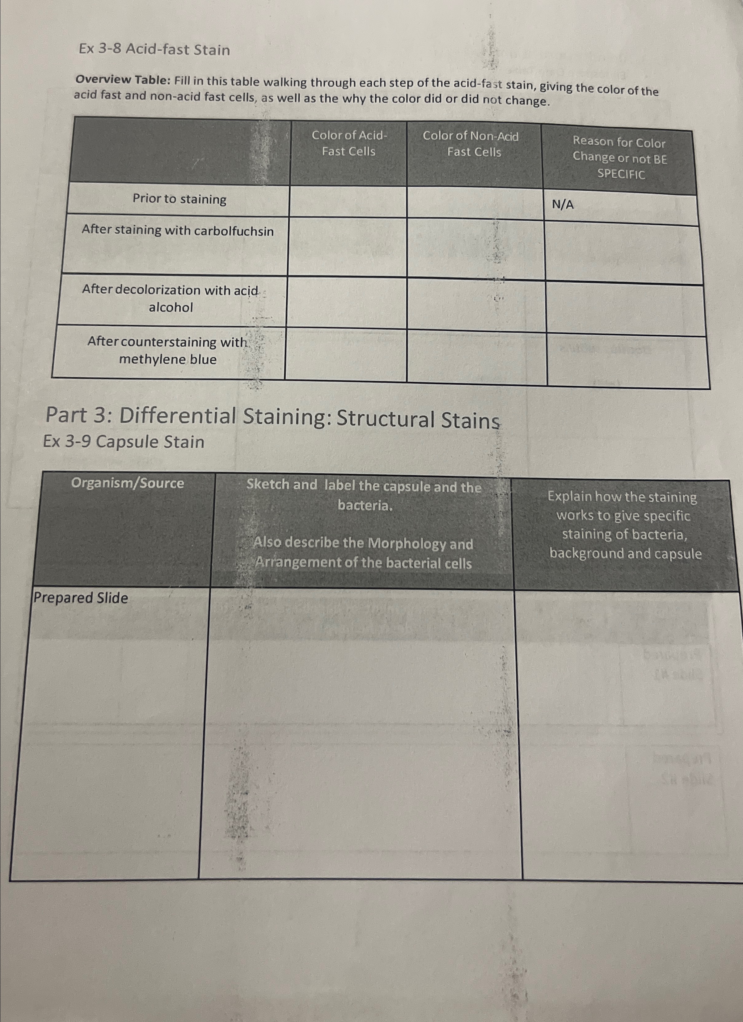 Solved Ex 3-8 ﻿Acid-fast StainOverview Table: Fill in this | Chegg.com