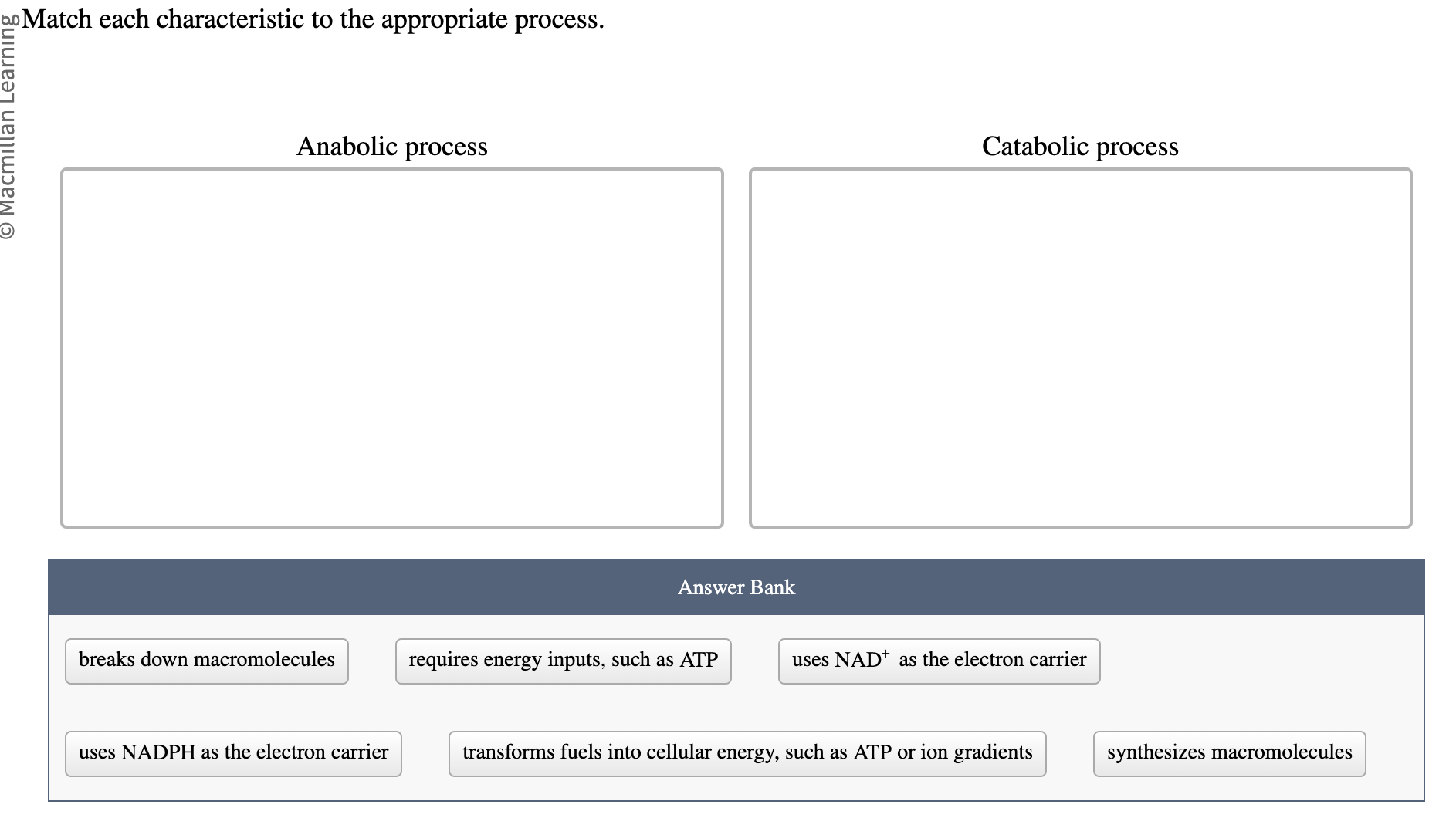 Which Of The Following Is Not A Catabolic Process