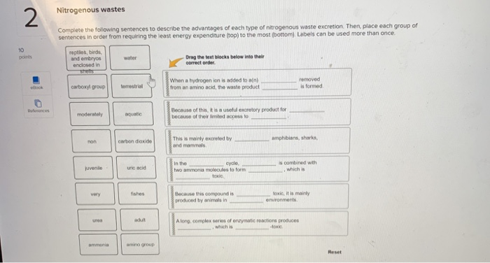 Solved Nitrogenous Wastes Complete The Following Sentences Chegg