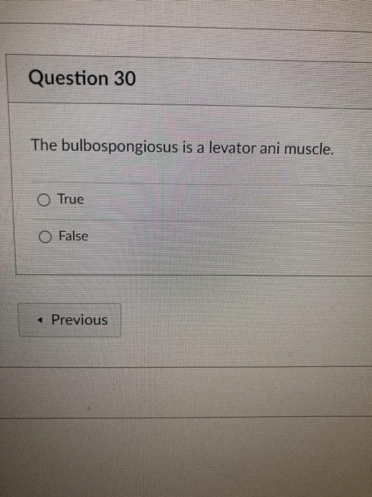 Question 30 The bulbospongiosus is a levator ani muscle. O True O False Previous