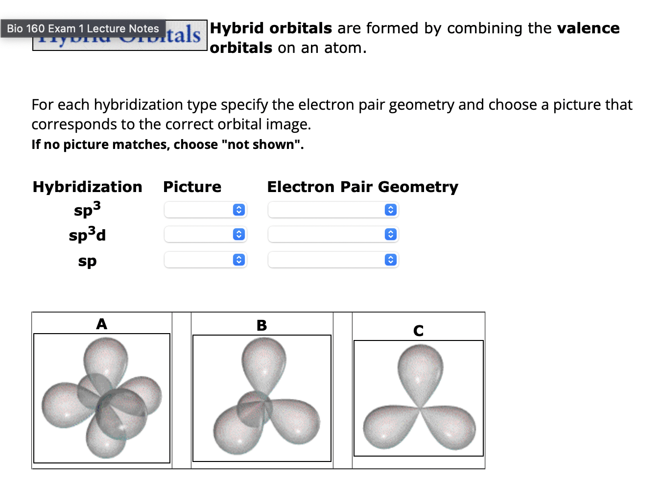 Solved Hybrid orbitals are formed by combining the valence | Chegg.com