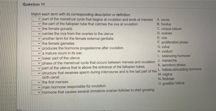 Solved Match Each Term With Its Corresponding Description Or