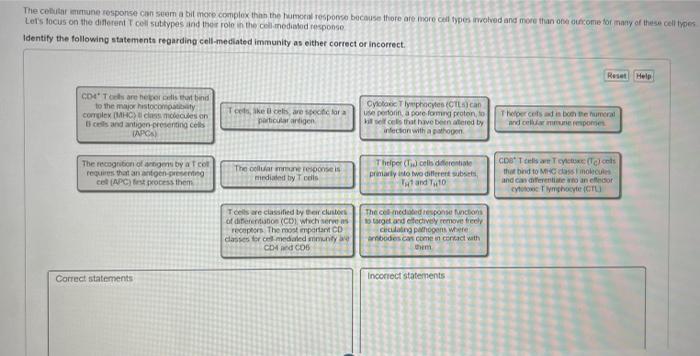 Solved The cellular immune response can seem a bit more | Chegg.com