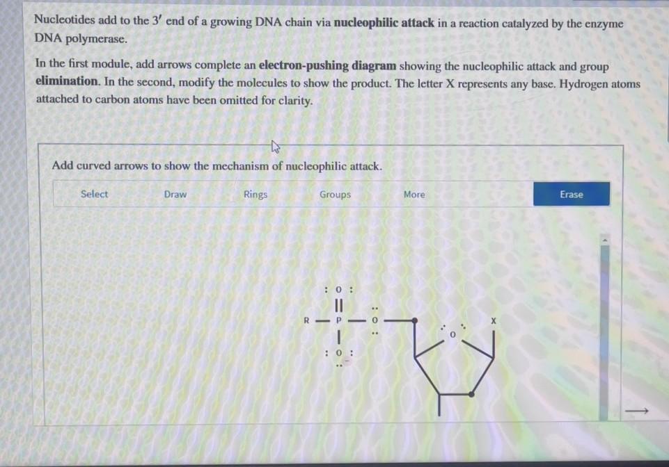 Solved Nucleotides Add To The 3' End Of A Growing DNA Chain | Chegg.com