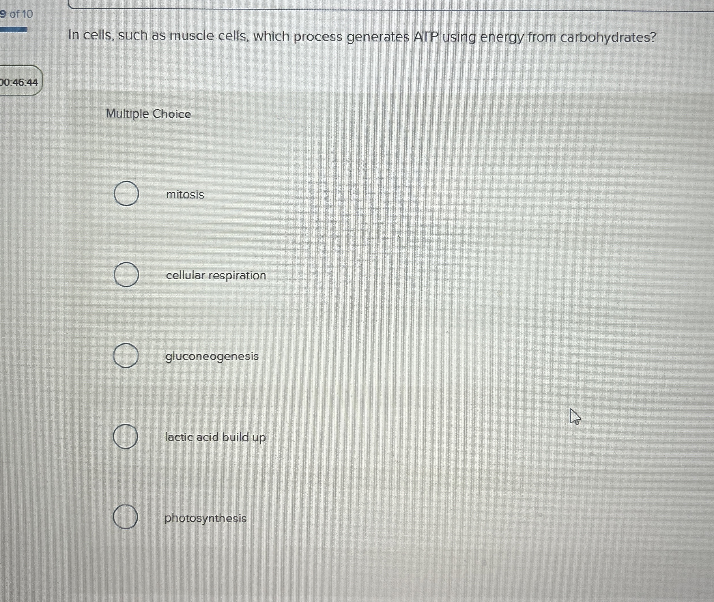 Solved 9 ﻿of 10In cells, such as muscle cells, which process