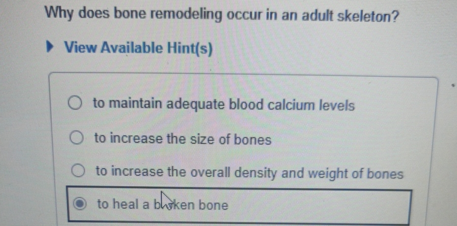 Solved Why does bone remodeling occur in an adult | Chegg.com