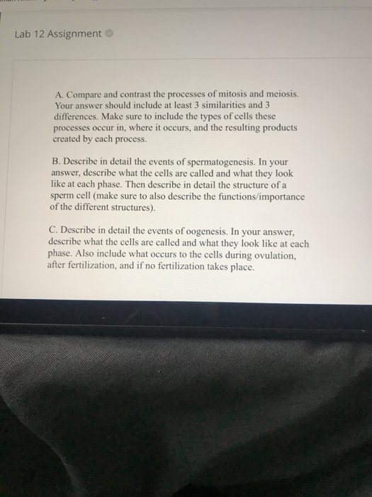 Labrador and rottweiler mix picture