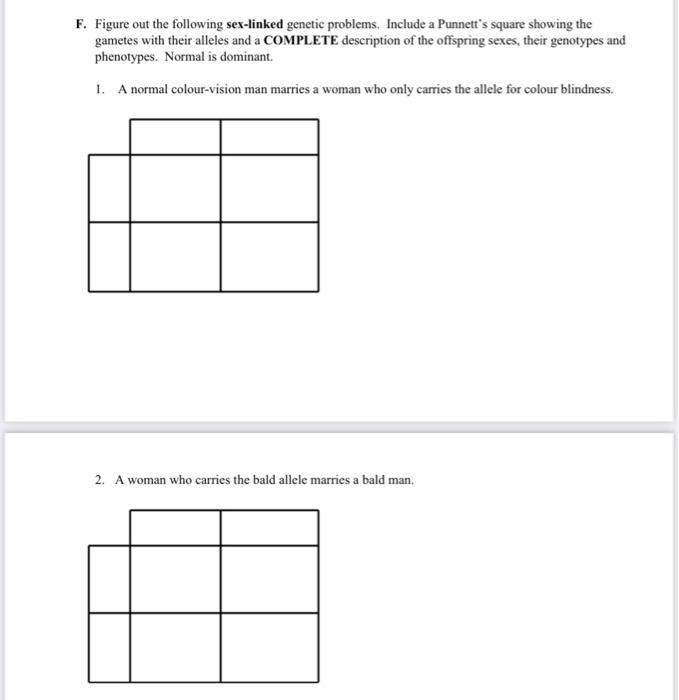 Solved D. Set up the Punnett squares for each of the crosses | Chegg.com