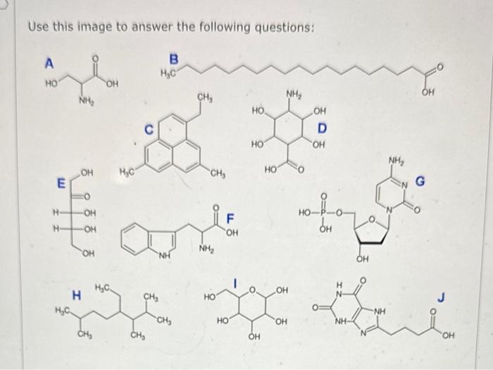 Solved Select all the molecules in the above image that | Chegg.com