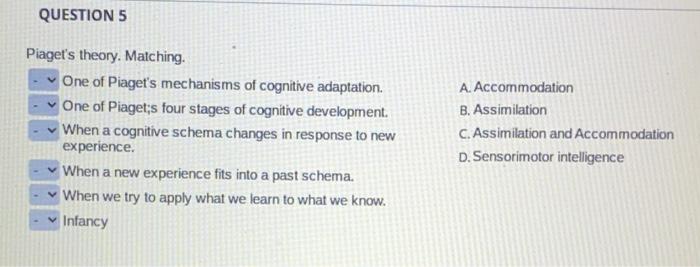 Solved QUESTION 5 Piaget s theory. Matching. One of Chegg