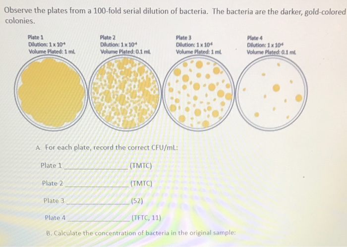 Solved Observe the plates from a 100-fold serial dilution of | Chegg.com