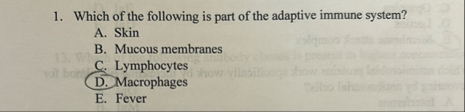 Solved Which of the following is part of the adaptive immune | Chegg.com