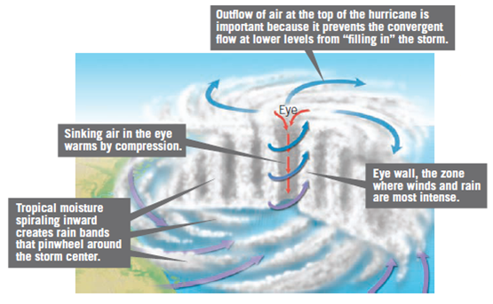 Solved: Refer to the graph in Figure Explain why wind speeds ar ...