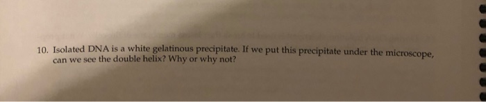 Solved 10. Isolated Dna Is A White Gelatinous Precipitate. 