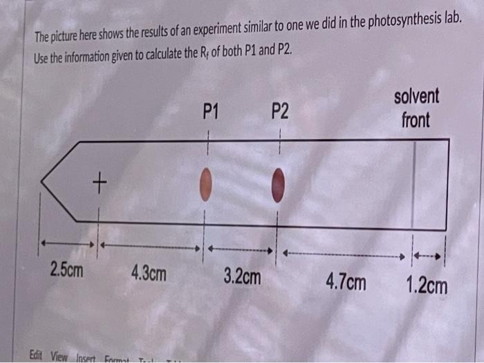Solved The picture here shows the results of an experiment | Chegg.com