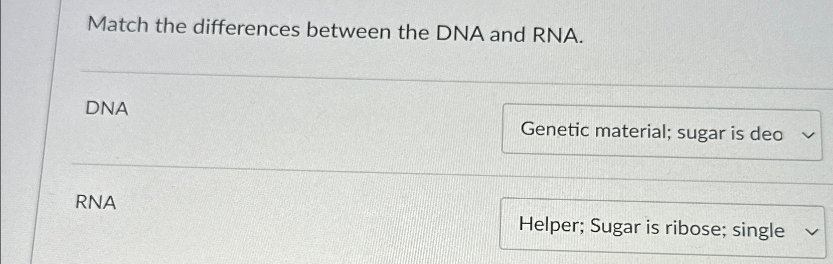 Solved Match the differences between the DNA and RNA.DNARNA | Chegg.com