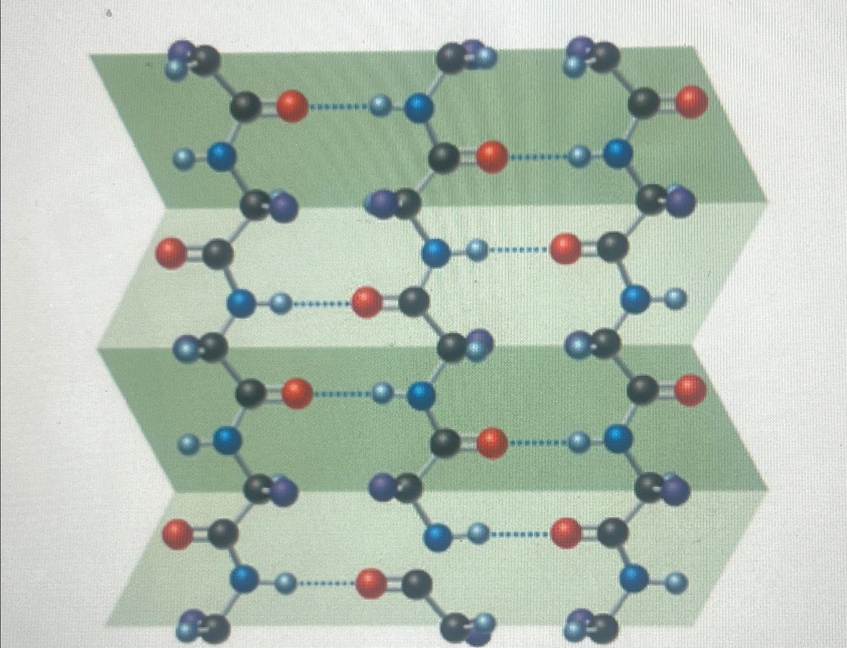 What type of protein secondary structure does the | Chegg.com