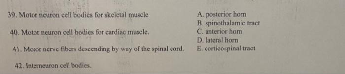Solved 39. Motor neuron cell bodies for skeletal muscle 40. | Chegg.com
