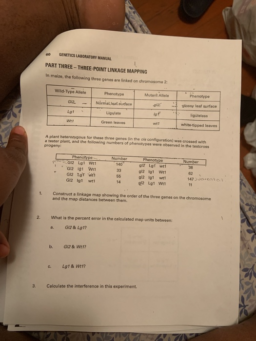 Solved 60 LABORATORY MANUAL PART THREE