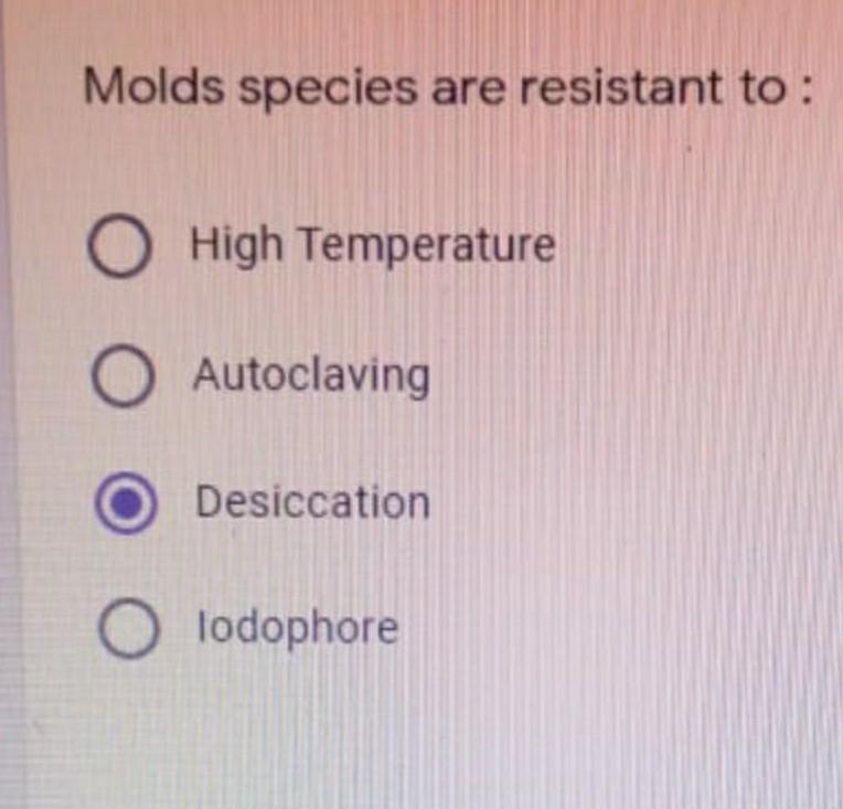 Molds Weak Point The Temperature That Destroys It - c2iuxu5