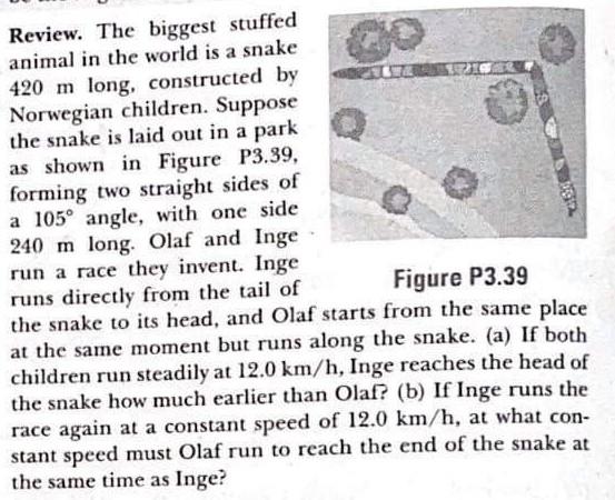 The biggest stuffed animal in the world is a snake 420 m long, constructed  by Norwegian children. Suppose the snake is laid out in a park, forming two  straight sides of a