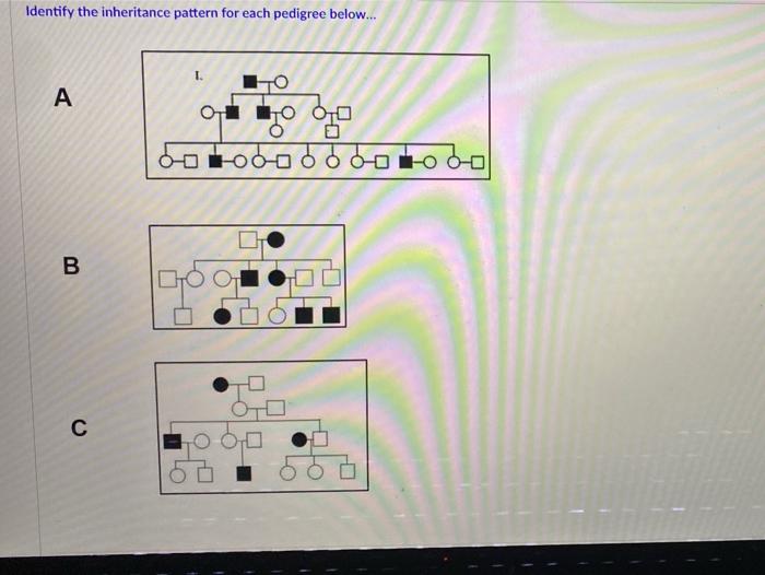 Solved Identify the inheritance pattern for each pedigree | Chegg.com