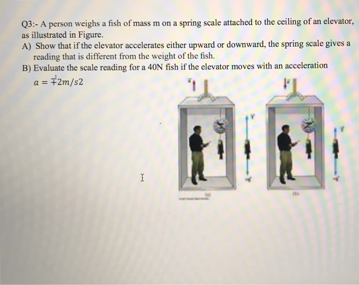 Solved Q3A person weighs a fish of mass m on a spring