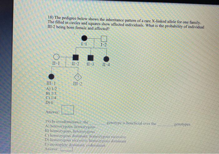 Solved 18) The pedigree below shows the inheritance pattern | Chegg.com