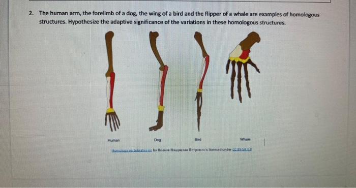 homologous-structures-an-introduction-to-evolution-in-7th-grade-life-science-at-ccms