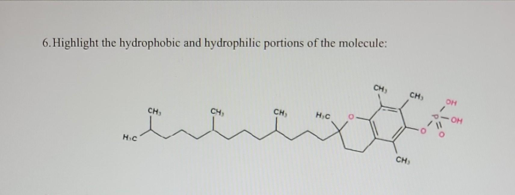 Solved 6. Highlight the hydrophobic and hydrophilic portions | Chegg.com