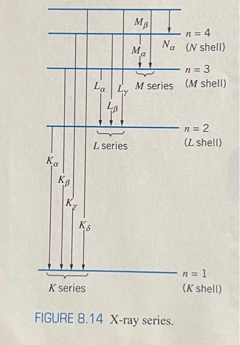 Solved 19. The level identified as the L shell in Figure | Chegg.com