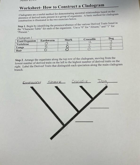 Worksheet How To Construct A Cladogram Cladograms Chegg Com   Image