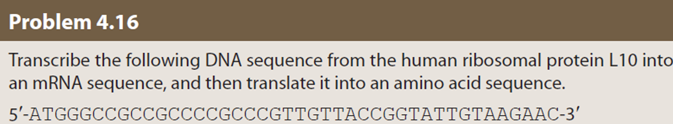 bioinformatics - problem with reversing dna mrna... Solved Problem 4.16Transcribe the following DNA sequence | Chegg.com