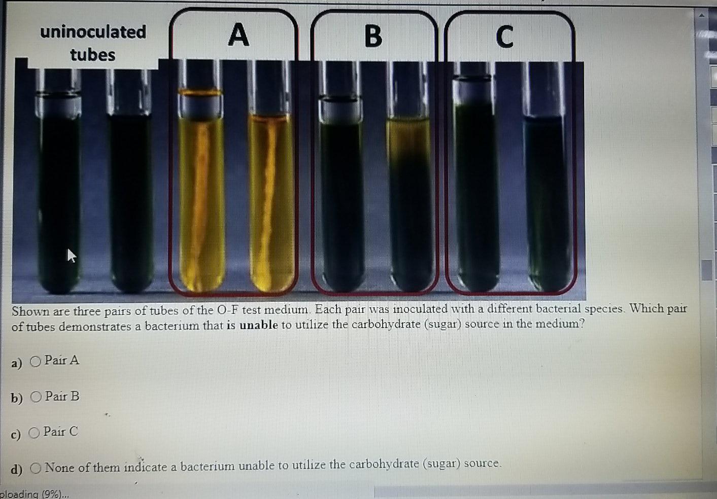 Solved uninoculated tubes А B В C Shown are three pairs of | Chegg.com