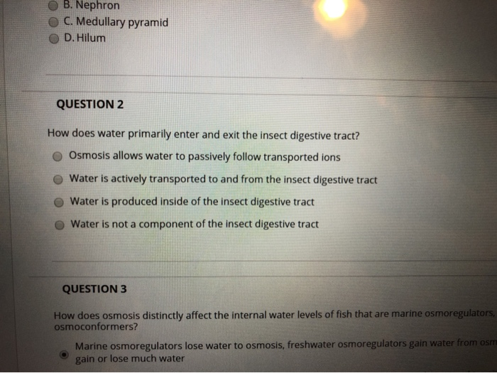 Solved QUESTION 1 This is an image of what structure in the | Chegg.com