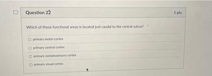 Solved Question 20 1 pts The soma of neurons are found in | Chegg.com