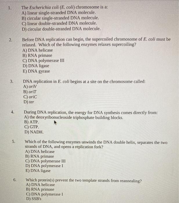 Solved 1. The Escherichia coli (E. coli) chromosome is a: A) | Chegg.com