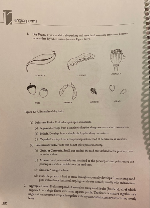 Solved what is the function of fruit? compare and contrast | Chegg.com