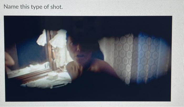 Name this type of shot. | Chegg.com