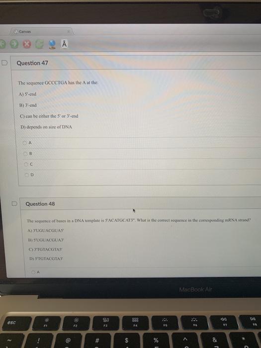 Solved What is the amino acid sequence coded from the | Chegg.com