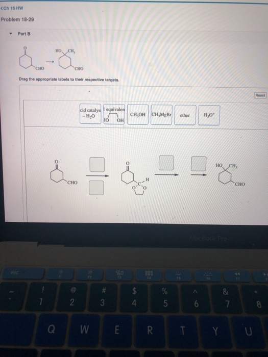 Solved Please make answers easy and simple for me to plug | Chegg.com