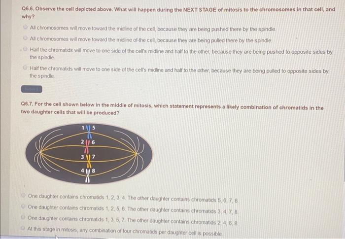 Solved Q6.6. Observe the cell depicted above. What will | Chegg.com