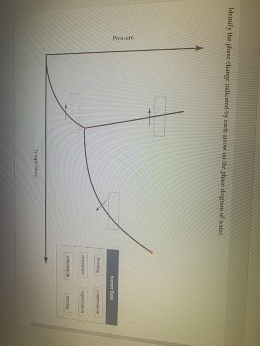 Solved Identify The Phase Change Indicated By Each Arrow On | Chegg.com