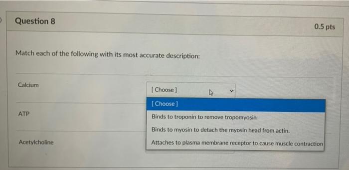 Solved 3 Question 1 0.5 pts Match each of the following type | Chegg.com