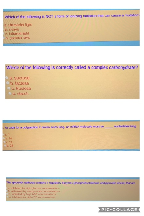 solved-which-of-the-following-is-not-a-form-of-ionizing-chegg