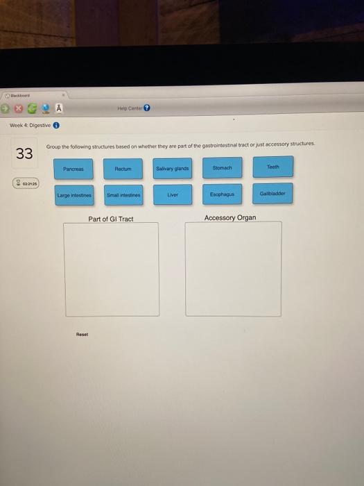 Solved Help Cente Week 4 Digestive Group the following