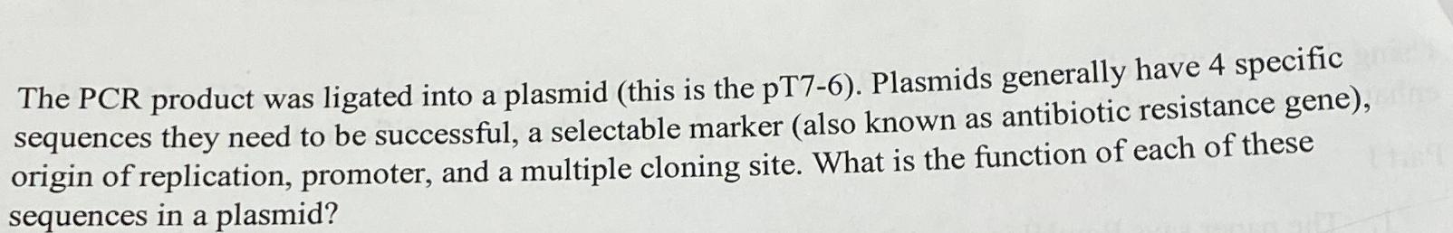 Solved The PCR product was ligated into a plasmid (this is | Chegg.com