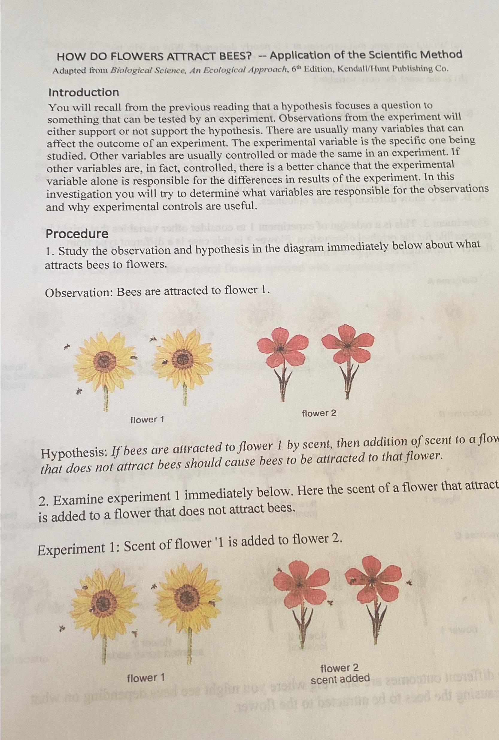 Solved HOW DO FLOWERS ATTRACT BEES? Application of the